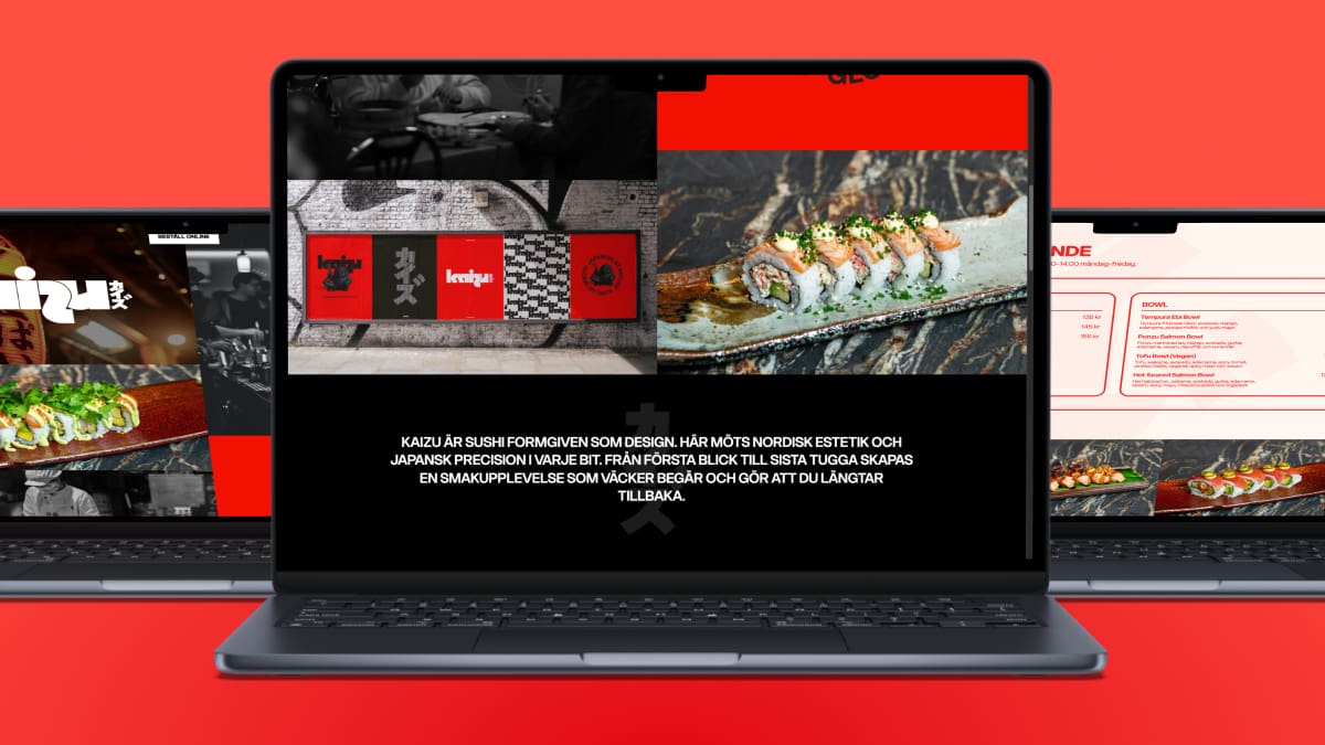 Kaizu Kundcase Laptops - Zavio Webbyrå Stockholm